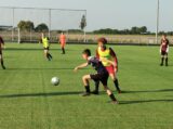 Training Schouwen-Duiveland Selectie Onder 13 & 14 op sportpark 'Het Springer' van maandag 5 juni 2023 (29/53)